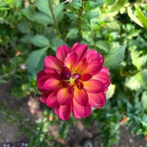 Meet your Posher, Ellen